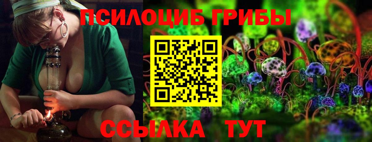 Троицк  Галлюциногенные грибы Psilocybine cubensis  Вход с VPN  Галлюциногенные грибы GOLDEN TEACHER 